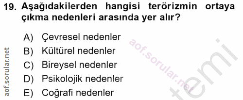 Soru 19