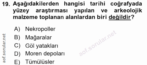 Soru 19