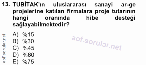 Soru 13