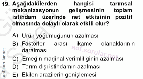 Soru 19