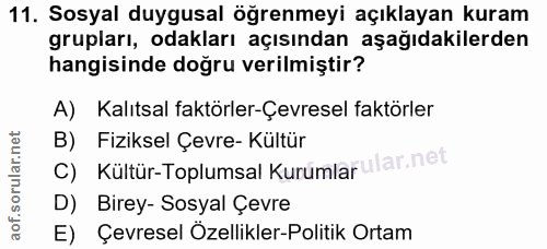 Soru 11