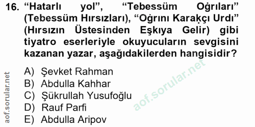 Soru 16