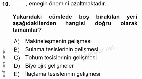 Soru 10