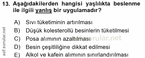 Soru 13