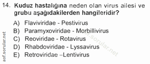 Soru 14