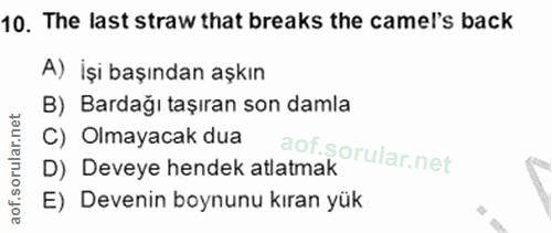 Soru 10