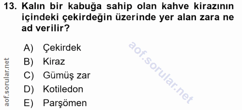 Soru 13