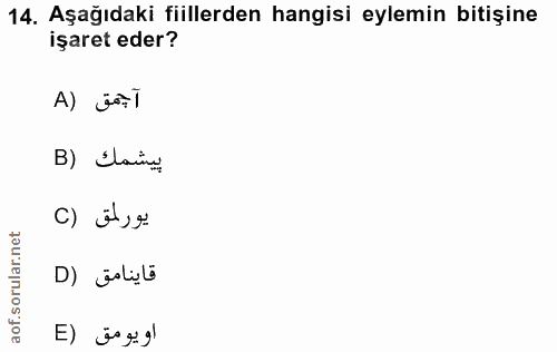 Soru 14