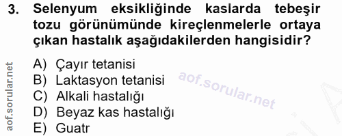 Soru 3