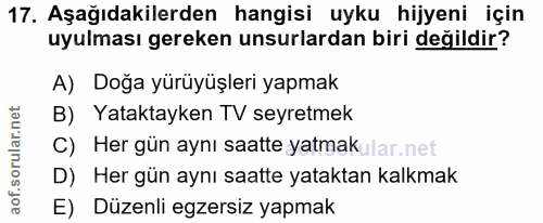Soru 17