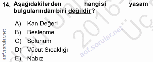 Soru 14