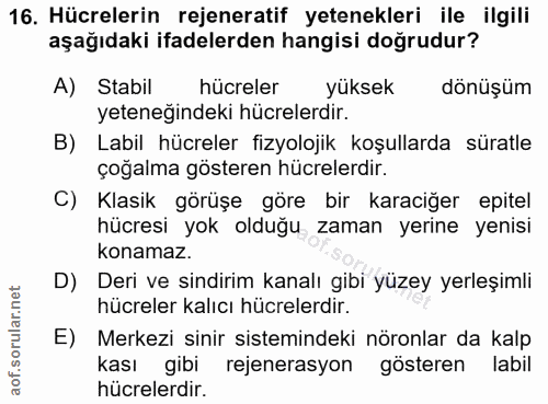 Soru 16