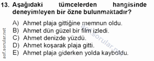 Soru 13