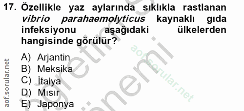 Soru 17