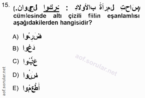 Soru 15