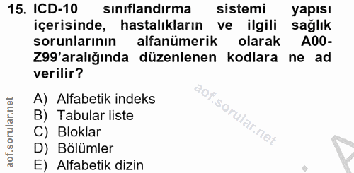 Soru 15