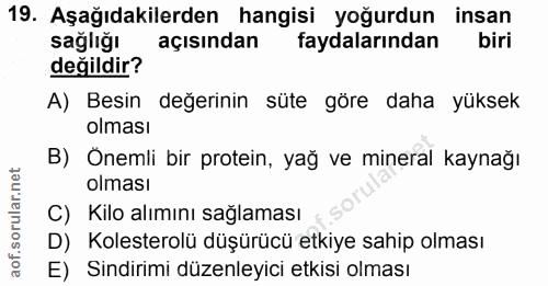 Soru 19