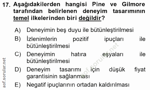 Soru 17