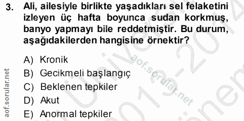 Soru 3