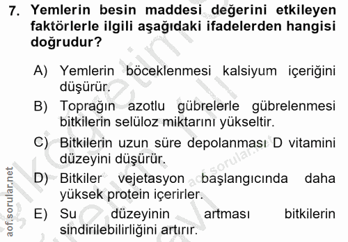 Soru 7