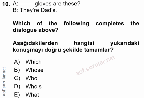 Soru 10