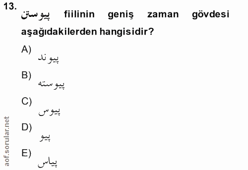 Soru 13