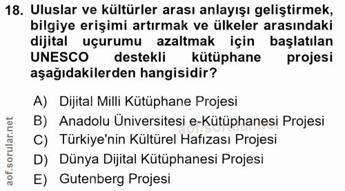 Soru 18