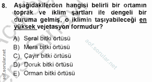 Soru 8