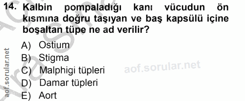 Soru 14