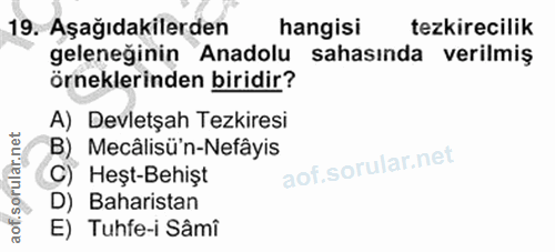 Soru 19