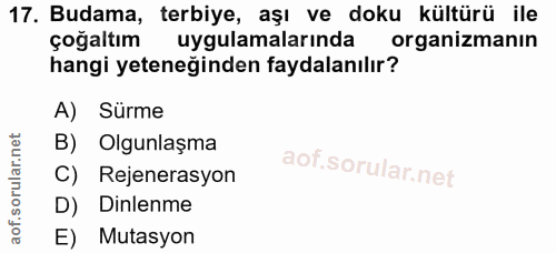 Soru 17
