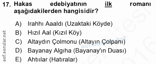Soru 17