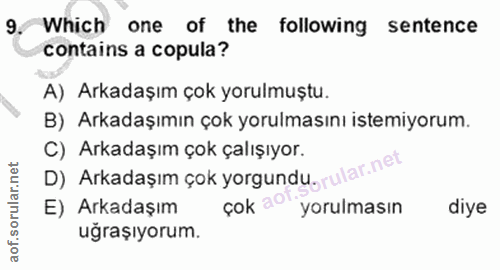 Soru 9