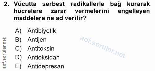 Soru 2