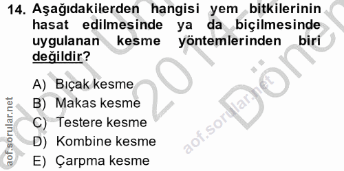 Soru 14