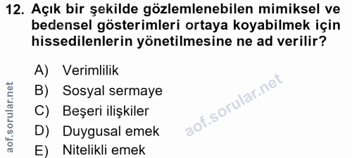 Soru 12
