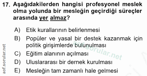 Soru 17