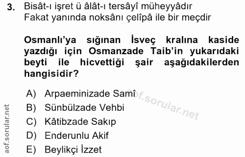 Soru 3