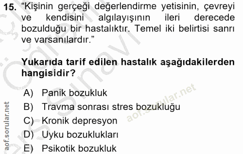 Soru 15