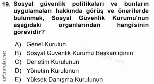 Soru 19