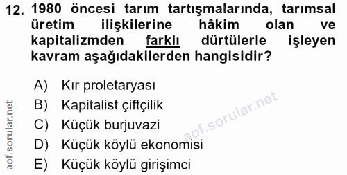 Soru 12