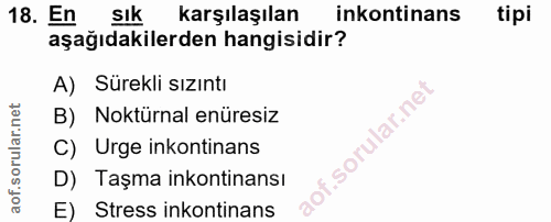 Soru 18