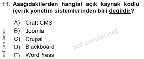 Soru 11