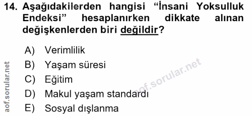 Soru 14