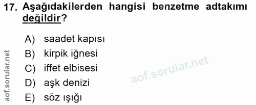 Soru 17