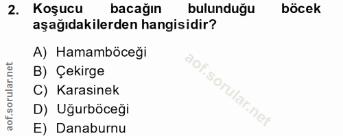 Soru 2