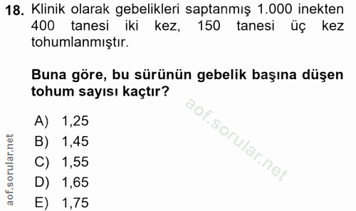 Soru 18