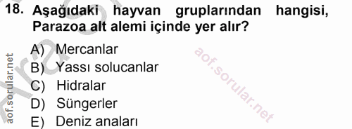 Soru 18