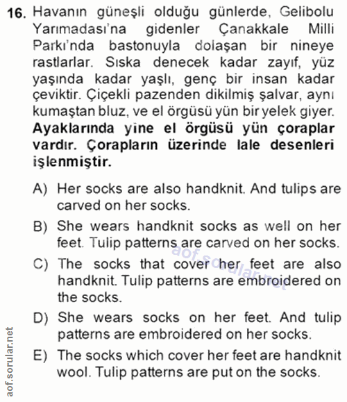 Soru 16