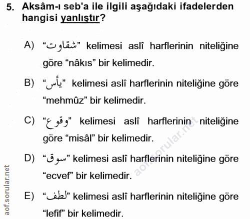Soru 5